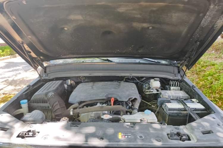 Used Tank 300 2021 Off-Road Edition 2.0T Conqueror Engine Bay