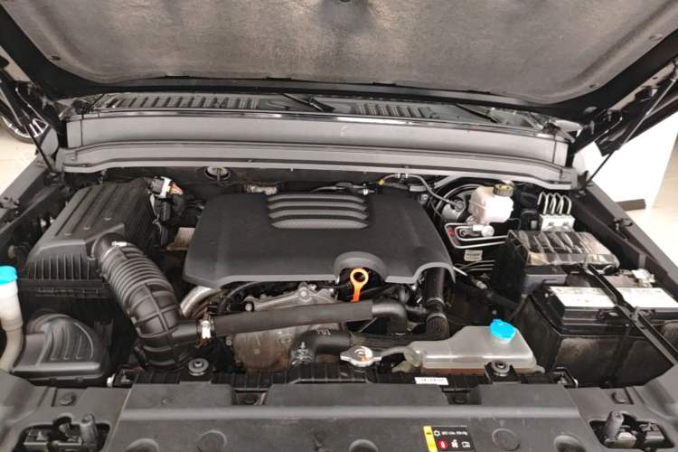 Used Tank 300 2021 Off-Road Edition 2.0T Conqueror Engine Bay