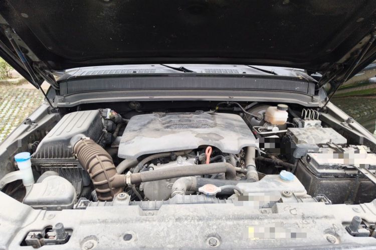 Used Tank 300 2021 Off-Road Edition 2.0T Conqueror Engine Bay