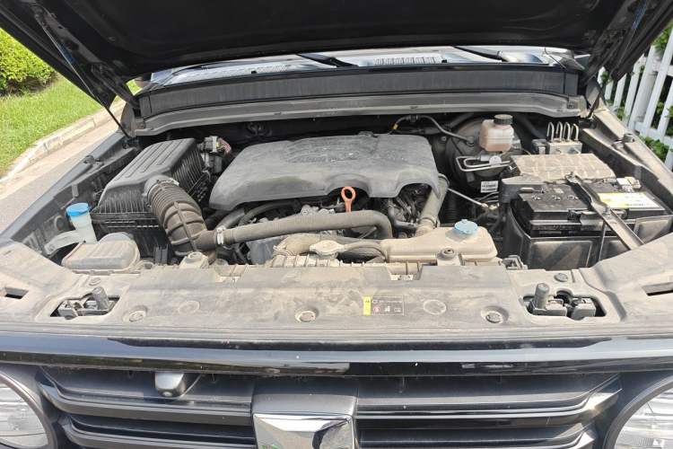 Used Tank 300 2021 Off-Road Edition 2.0T Conqueror Engine Bay
