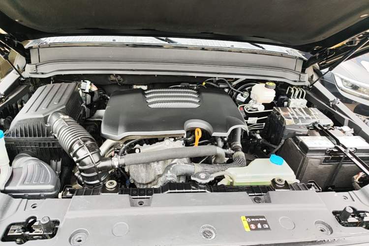 Used Tank 300 2021 Off-Road Edition 2.0T Conqueror Engine Bay