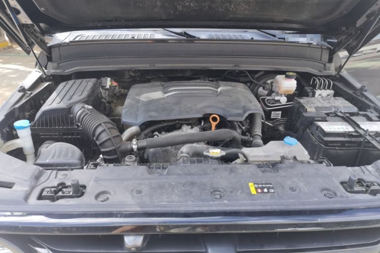 Used Tank 300 2021 Off-Road Edition 2.0T Conqueror Engine Bay
