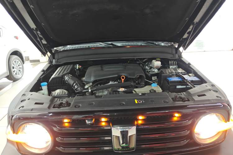 Used Tank 300 2021 Off-Road Edition 2.0T Conqueror Engine Bay