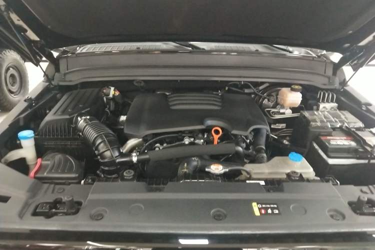 Used Tank 300 2021 City Edition 2.0T—Truly Stylish Engine Bay