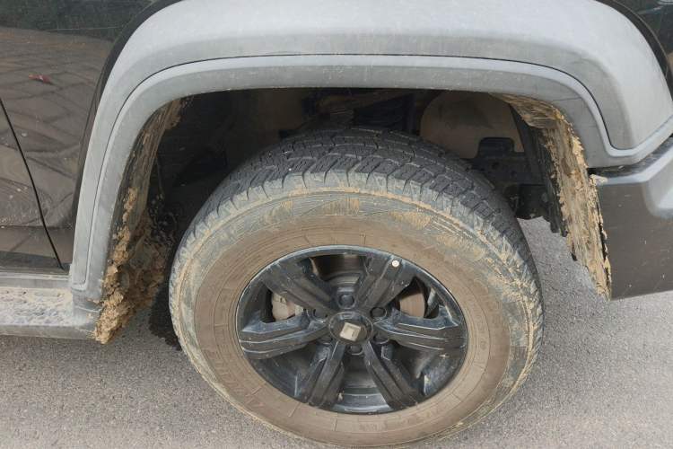 Used Tank 300 2021 Off-Road Edition 2.0T Conqueror Exterior 1