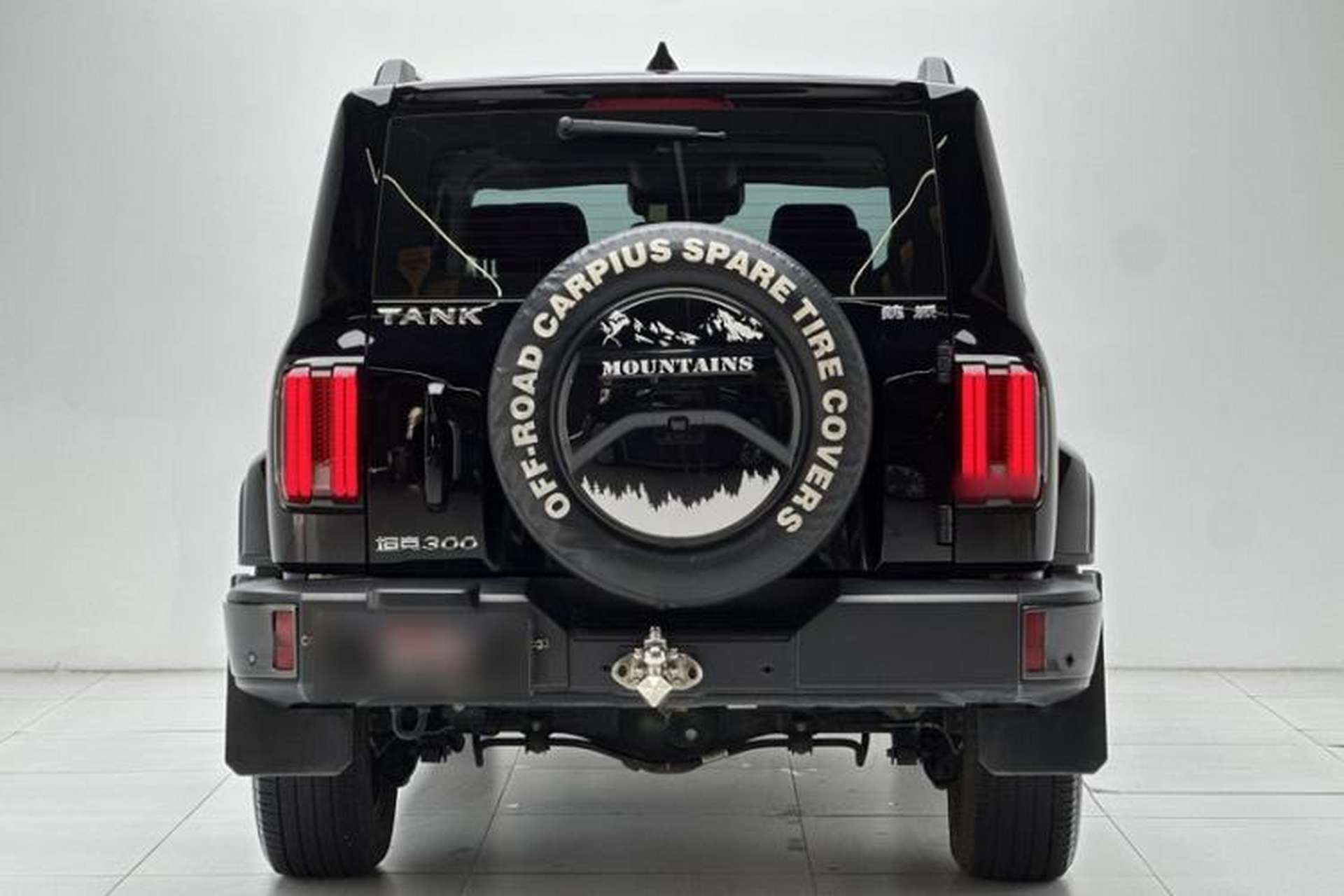 Used Tank 300 2021 City Edition 2.0T—Truly Stylish Exterior 2