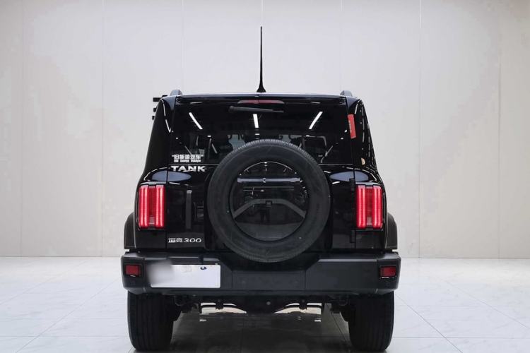 Used Tank 300 2021 Off-Road Edition 2.0T Conqueror Exterior 3
