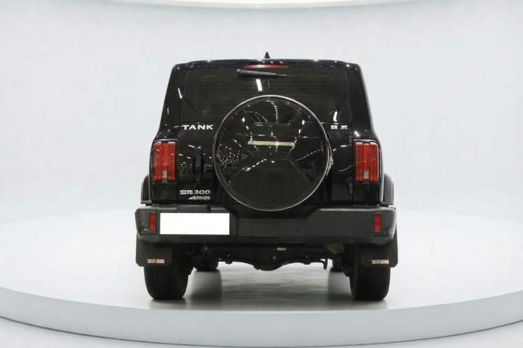 Used Tank 300 2021 City Edition 2.0T—Truly Stylish Exterior 3