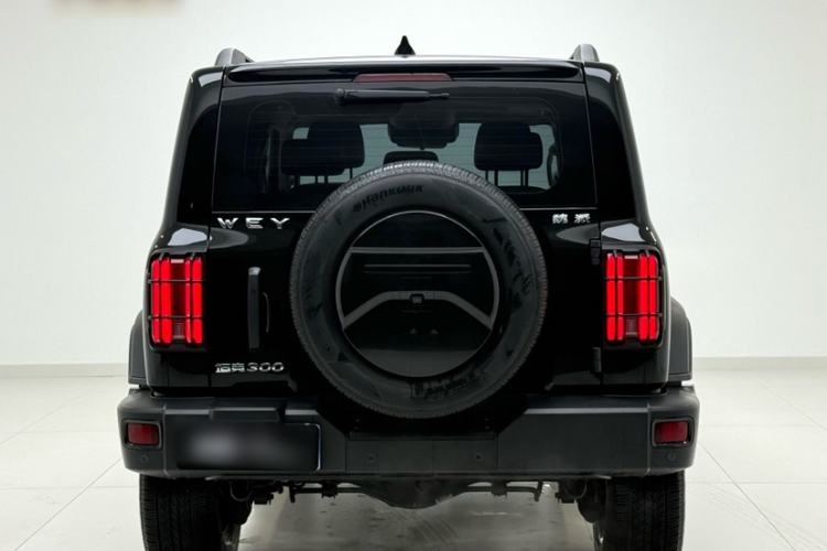 Used Tank 300 2021 Off-Road Edition 2.0T Conqueror Exterior 4