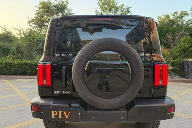 Used Tank 300 2021 Off-Road Edition 2.0T Conqueror Exterior 5
