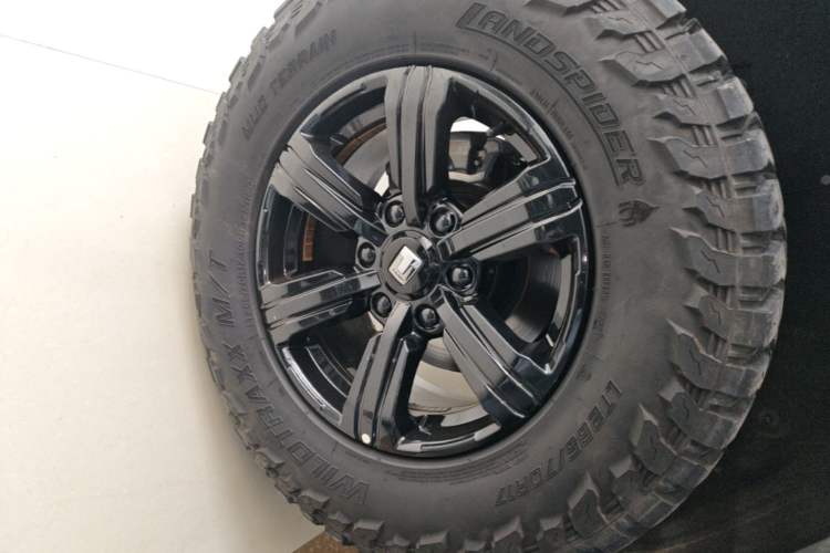 Used Tank 300 2021 Off-Road Edition 2.0T Conqueror Exterior 5