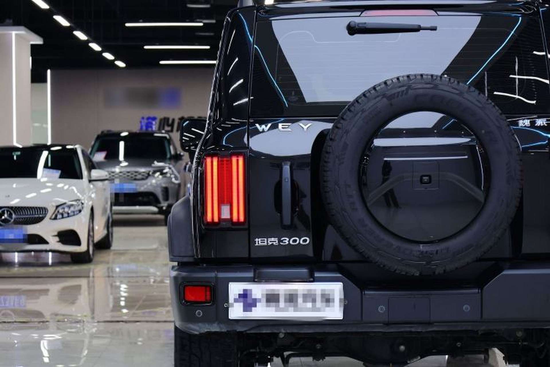 Used Tank 300 2021 Off-Road Edition 2.0T Conqueror Exterior 6