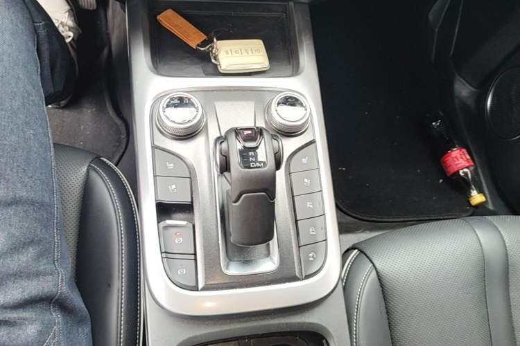 Used Tank 300 2021 City Edition 2.0T—Truly Stylish Gear Lever