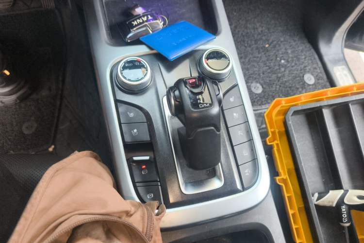 Used Tank 300 2021 City Edition 2.0T—Truly Stylish Gear Lever