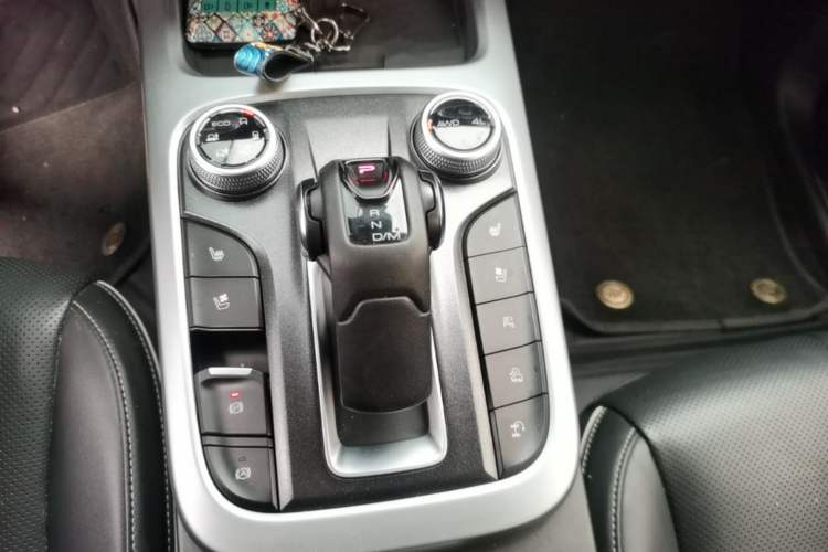 Used Tank 300 2021 City Edition 2.0T—Truly Stylish Gear Lever