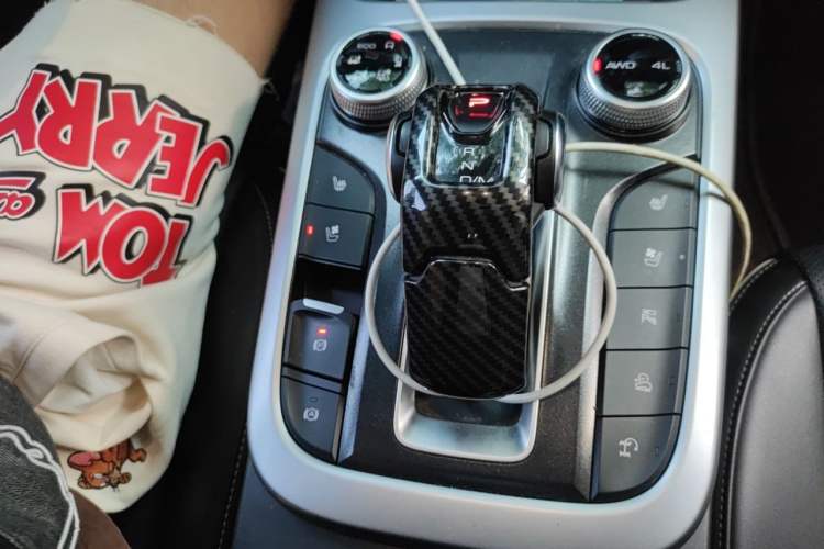 Used Tank 300 2021 City Edition 2.0T—Truly Stylish Gear Lever