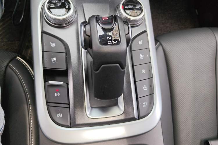 Used Tank 300 2021 City Edition 2.0T—Truly Stylish Gear Lever