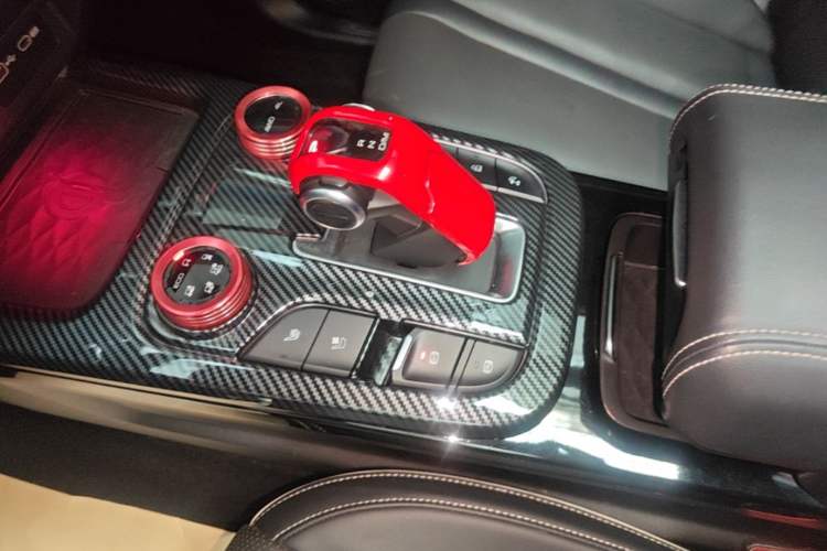 Used Tank 300 2021 City Edition 2.0T—Truly Stylish Gear Lever