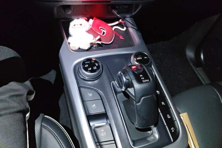 Used Tank 300 2021 City Edition 2.0T Essential Model Gear Lever