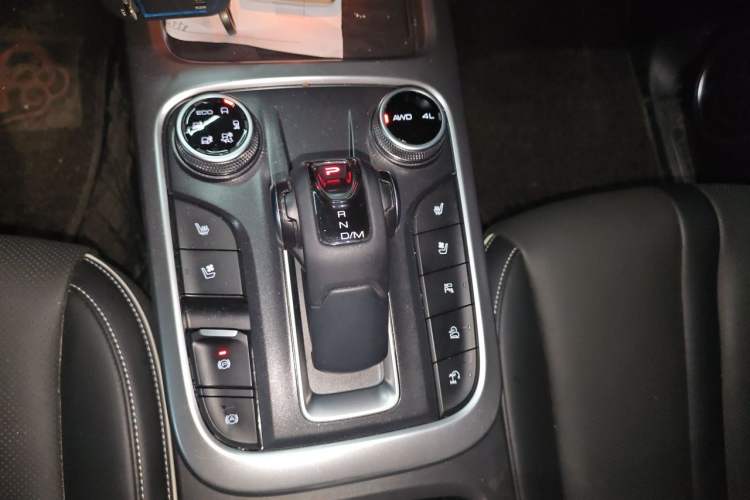 Used Tank 300 2021 City Edition 2.0T—Truly Stylish Gear Lever