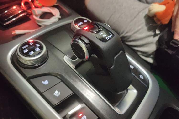 Used Tank 300 2021 City Edition 2.0T—Truly Stylish Gear Lever