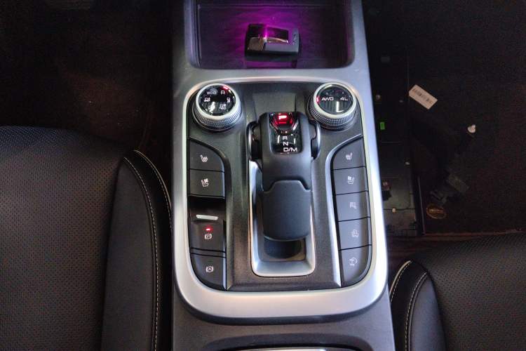 Used Tank 300 2021 City Edition 2.0T—Truly Stylish Gear Lever