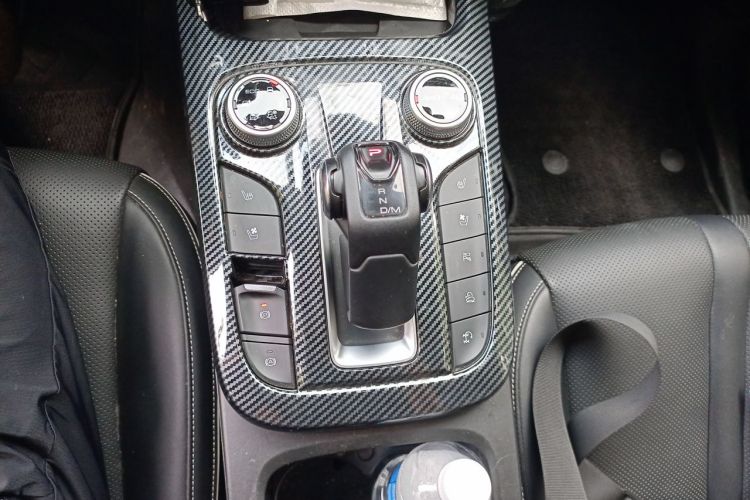 Used Tank 300 2021 City Edition 2.0T—Truly Stylish Gear Lever