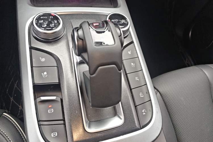 Used Tank 300 2021 City Edition 2.0T—Truly Stylish Gear Lever