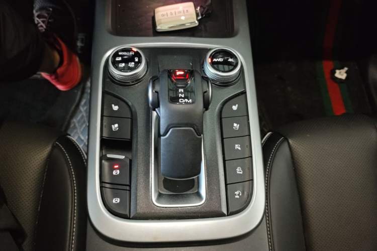 Used Tank 300 2021 City Edition 2.0T—Truly Stylish Gear Lever