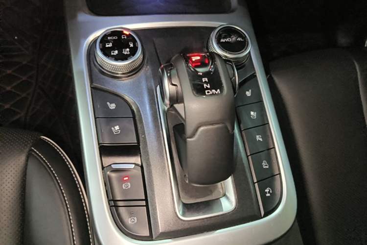 Used Tank 300 2021 City Edition 2.0T My Vision Model Gear Lever