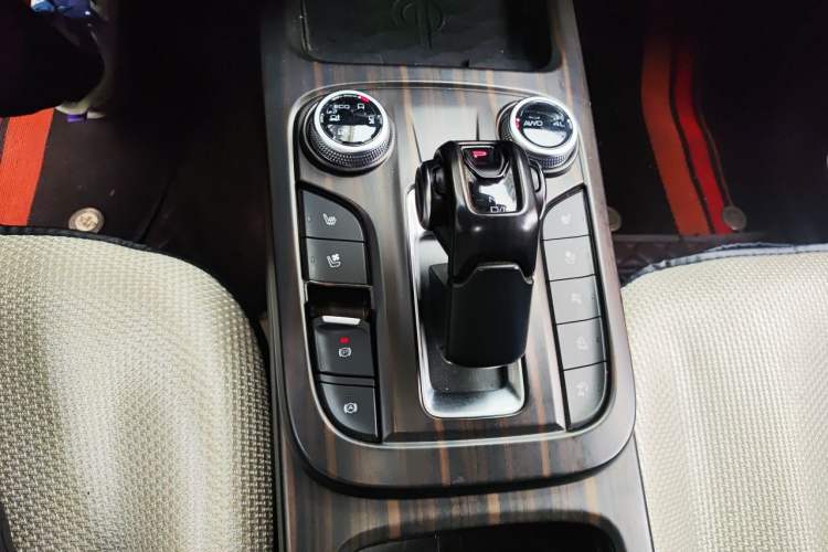 Used Tank 300 2021 City Edition 2.0T Essential Model Gear Lever