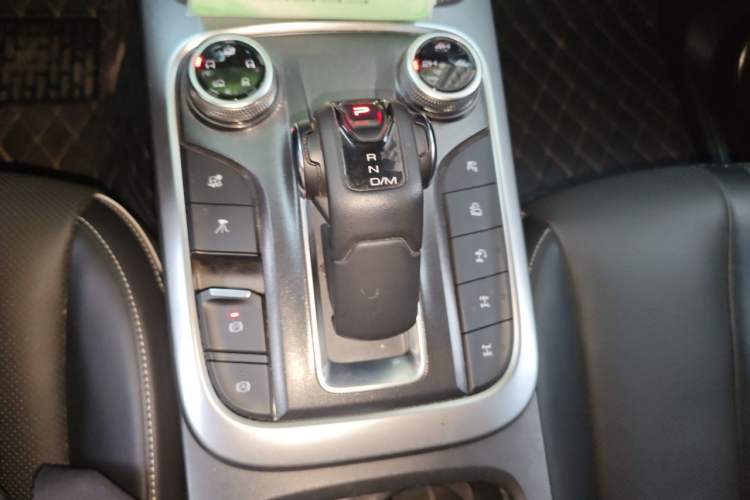 Used Tank 300 2021 City Edition 2.0T—Truly Stylish Gear Lever