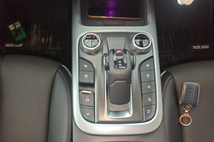 Used Tank 300 2021 City Edition 2.0T—Truly Stylish Gear Lever