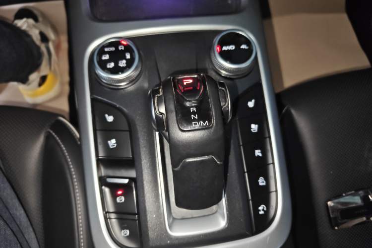 Used Tank 300 2021 City Edition 2.0T—Truly Stylish Gear Lever