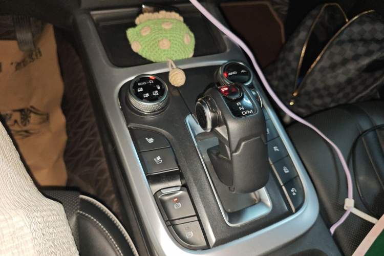 Used Tank 300 2021 City Edition 2.0T—Truly Stylish Gear Lever