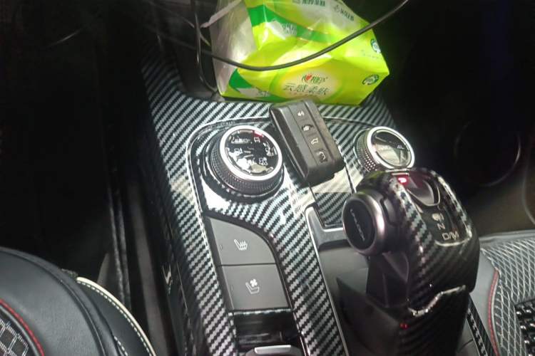 Used Tank 300 2021 City Edition 2.0T—Truly Stylish Gear Lever
