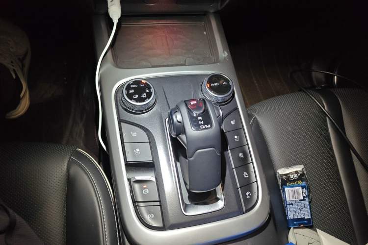 Used Tank 300 2021 City Edition 2.0T—Truly Stylish Gear Lever