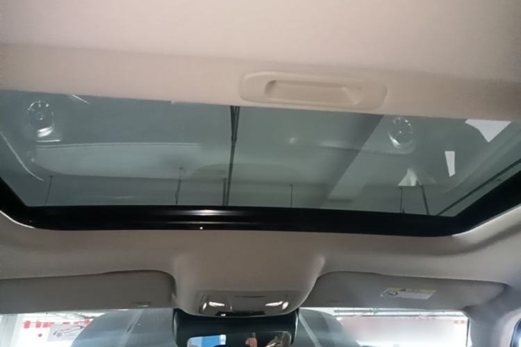 Used Tank 300 2021 Off-Road Edition 2.0T Conqueror Headliner