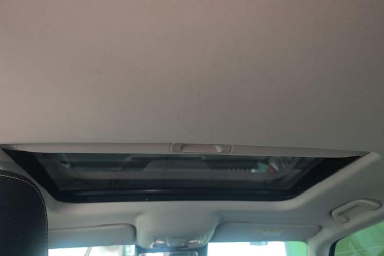 Used Tank 300 2021 Off-Road Edition 2.0T Conqueror Headliner