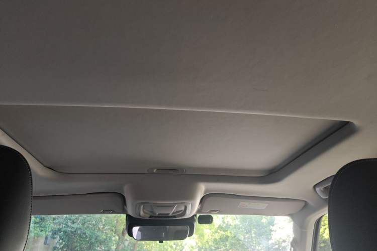 Used Tank 300 2021 Off-Road Edition 2.0T Conqueror Headliner