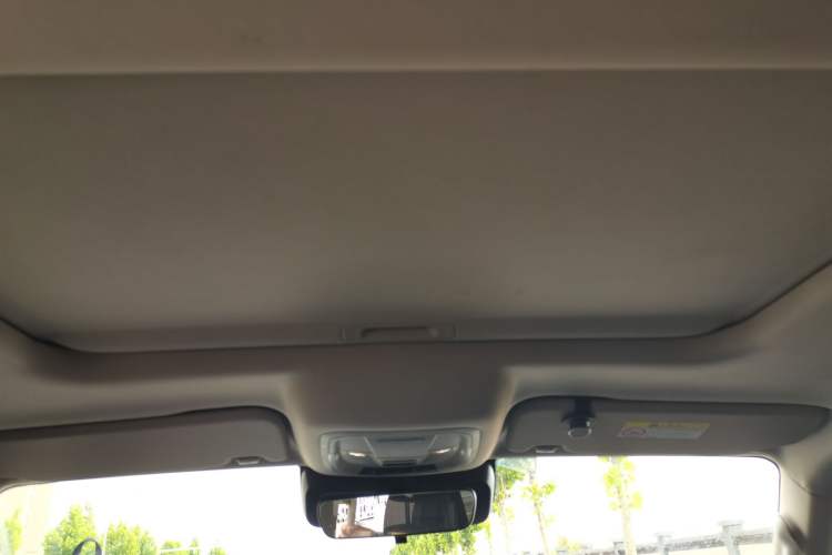 Used Tank 300 2021 Off-Road Edition 2.0T Conqueror Headliner