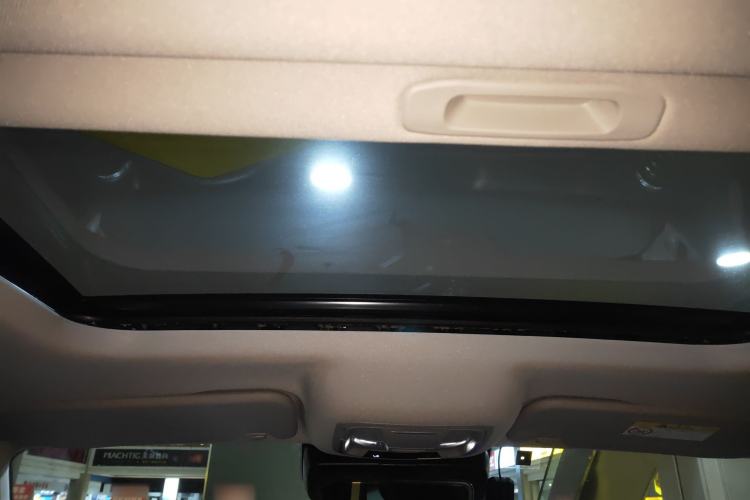 Used Tank 300 2021 City Edition 2.0T My Vision Model Headliner