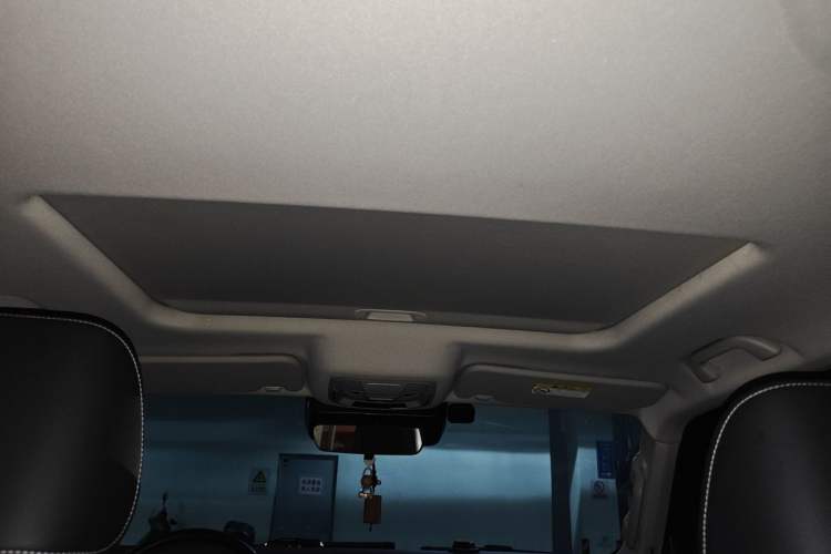 Used Tank 300 2021 Off-Road Edition 2.0T Conqueror Headliner