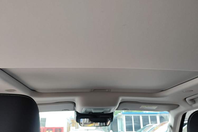 Used Tank 300 2021 City Edition 2.0T—Truly Stylish Headliner