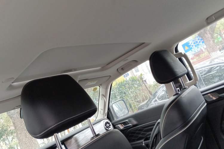 Used Tank 300 2021 City Edition 2.0T—Truly Stylish Headliner