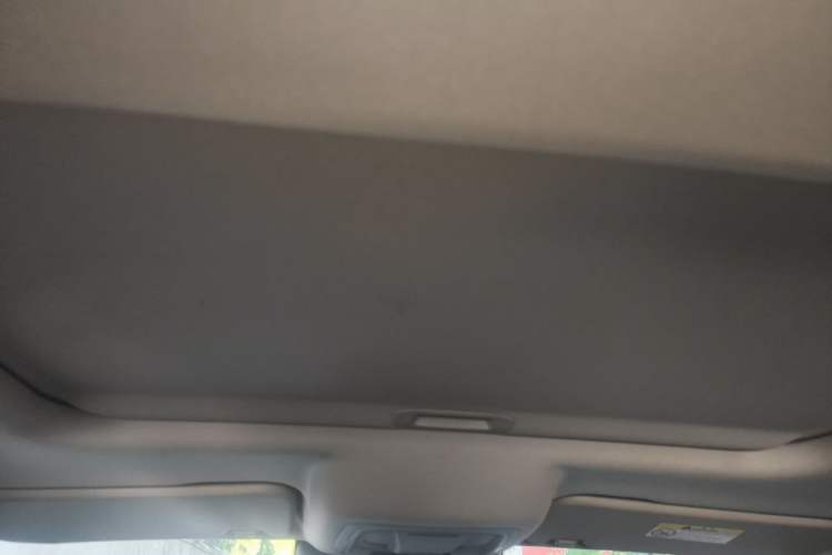 Used Tank 300 2021 City Edition 2.0T—Truly Stylish Headliner