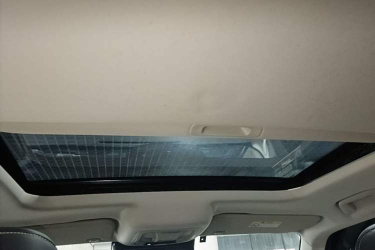 Used Tank 300 2021 Off-Road Edition 2.0T Conqueror Headliner