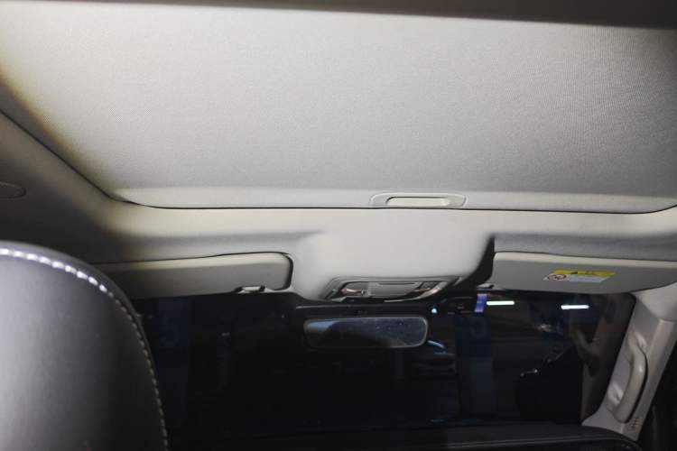Used Tank 300 2021 City Edition 2.0T—Truly Stylish Headliner