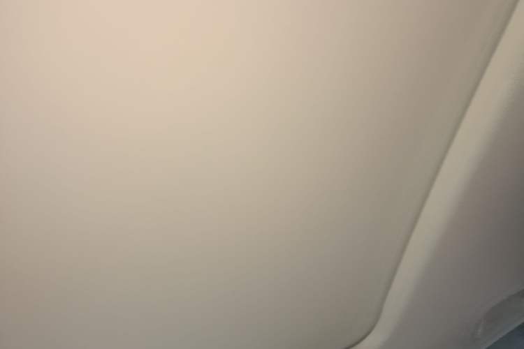 Used Tank 300 2021 City Edition 2.0T—Truly Stylish Headliner