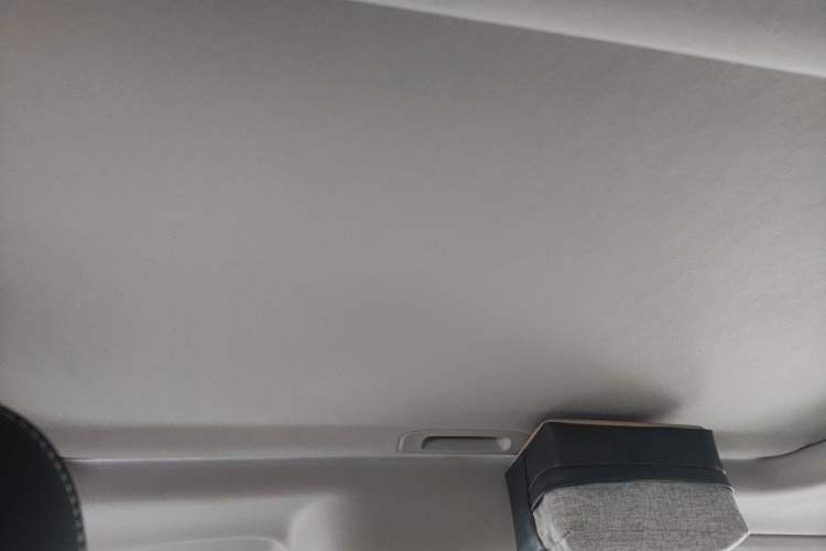 Used Tank 300 2021 City Edition 2.0T—Truly Stylish Headliner